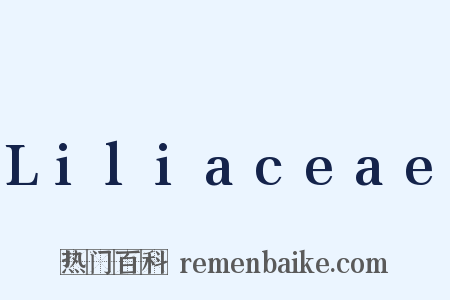 Liliaceae是什么意思的图片